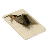 Magnet Flexible Hirondelle de grange des oiseaux d'Amérique d'Audu (Côté Droit)