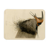 Magnet Flexible Hirondelle de grange des oiseaux d'Amérique d'Audu (Horizontal)