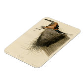 Magnet Flexible Hirondelle de grange des oiseaux d'Amérique d'Audu (Côté Gauche)