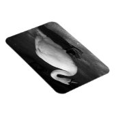 Magnet Flexible HiSS (Côté Droit)