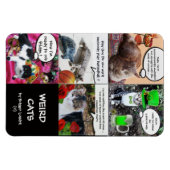 MAGNET FLEXIBLE HISTOIRES DE CHAT WEIRD (Horizontal)