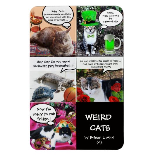 MAGNET FLEXIBLE HISTOIRES DE CHAT WEIRD (Vertical)