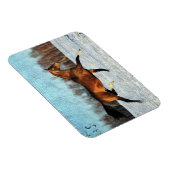 Magnet Flexible Hiver Akhal-teke (Côté Droit)