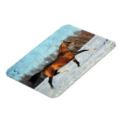 Magnet Flexible Hiver Akhal-teke (Côté Gauche)