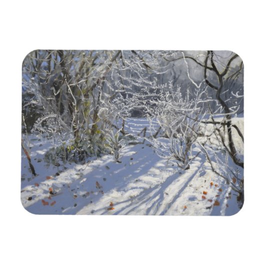 Magnet Flexible Hoar frost Markeaton Derby.UK.2012 (Horizontal)