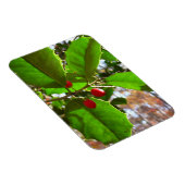 Magnet Flexible Holly Feuilles II Vacances Nature Botanique (Côté Droit)