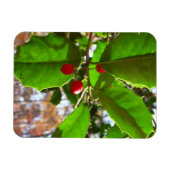 Magnet Flexible Holly Feuilles II Vacances Nature Botanique (Horizontal)