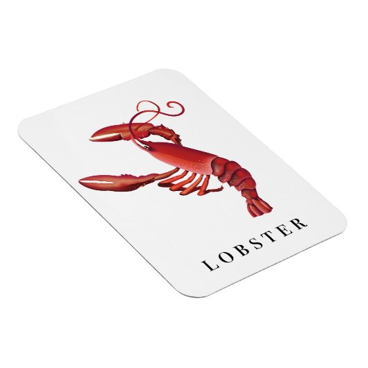 Magnet Flexible Homard (Côté Droit)