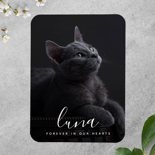 Magnet Flexible Hommage commémoratif de la Sympathie des animaux d