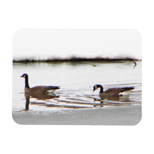 Magnet Flexible Honkers - Oies du Canada (Horizontal)