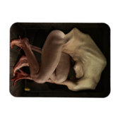 Magnet Flexible Honte 2012 (Horizontal)