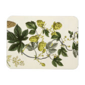 Magnet Flexible Hop Vine, de "The Young Landsman", publié par Vie (Horizontal)