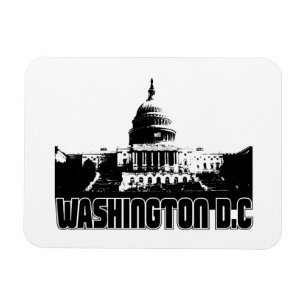 Magnet Flexible Horizon de Washington DC