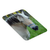 Magnet Flexible Horse Aimant flexible (Côté Droit)