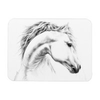 Horse portrait drawing equestrian art