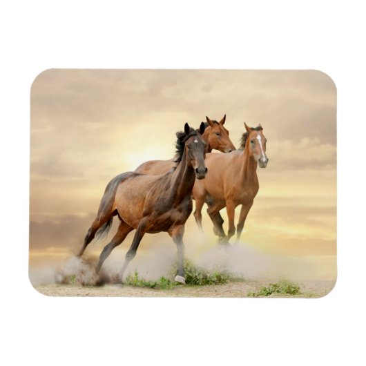 Magnet Flexible Horses in sunset (Horizontal)