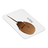 Magnet Flexible Horseshoe crab (Côté Droit)