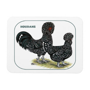 Magnet Flexible Houdan Chickens