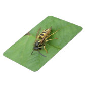 Magnet Flexible Hoverfly sur un aimant Premium feuille (Côté Gauche)