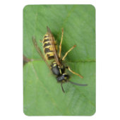 Magnet Flexible Hoverfly sur un aimant Premium feuille (Vertical)