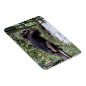 Magnet Flexible Howler Monkey Hangout (Côté Droit)