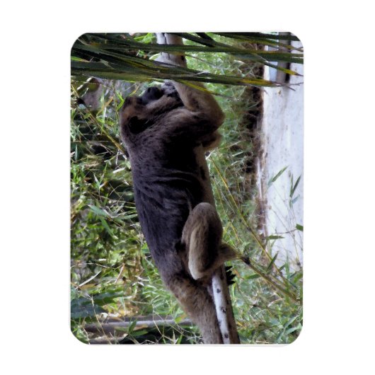Magnet Flexible Howler Monkey Hangout (Vertical)
