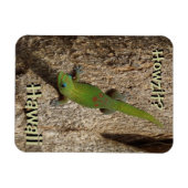 Magnet Flexible Howzit Hawaii gecko rectangle tropical aimant (Horizontal)
