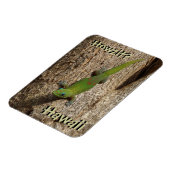 Magnet Flexible Howzit Hawaii gecko rectangle tropical aimant (Côté Gauche)