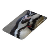 Magnet Flexible Humbolt Penguin au zoo de Drusillas dans l'est du (Côté Gauche)