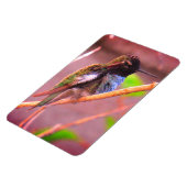 Magnet Flexible Humming Bird (Côté Gauche)