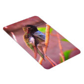 Magnet Flexible Humming Bird (Côté Droit)