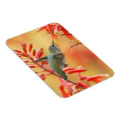Magnet Flexible Hummingbird surrounded by red yucca (Côté Droit)