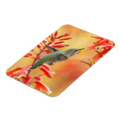 Magnet Flexible Hummingbird surrounded by red yucca (Côté Gauche)