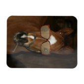 Magnet Flexible Humour Cheval Foie Fumer Cigar Aimant Flexible (Horizontal)