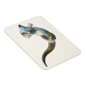 Magnet Flexible Hunter 2014 (Côté Droit)