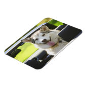 Magnet Flexible Husky à cheval (Côté Gauche)