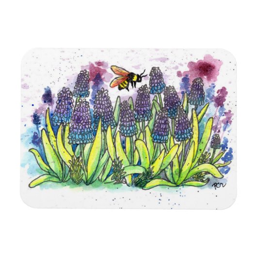 Magnet Flexible Hyacinthe de raisin (Horizontal)