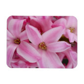 Magnet Flexible hyacinthe rose (Horizontal)