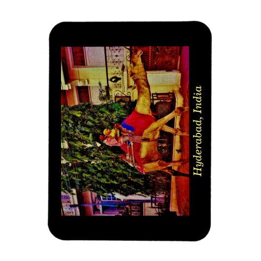 Magnet Flexible Hyderabad, Inde (Vertical)