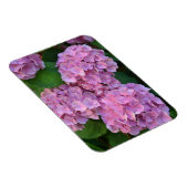 Magnet Flexible Hydrangea hortensia rose pastel en fleurs  (Côté Droit)