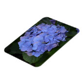 Magnet Flexible Hydrangea macrophylla violette rustique (Côté Gauche)