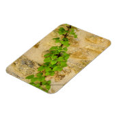 Magnet Flexible Hydrangea petiolaris (Côté Gauche)