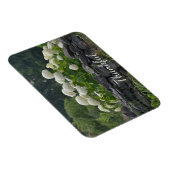 Magnet Flexible Hydrangée blanche Gratitude (Côté Droit)