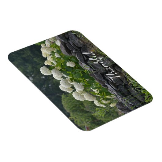 Magnet Flexible Hydrangée blanche Gratitude (Côté Droit)