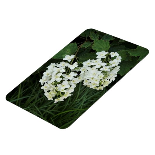 Magnet Flexible Hydrangée des feuilles d'avoine (Côté Gauche)