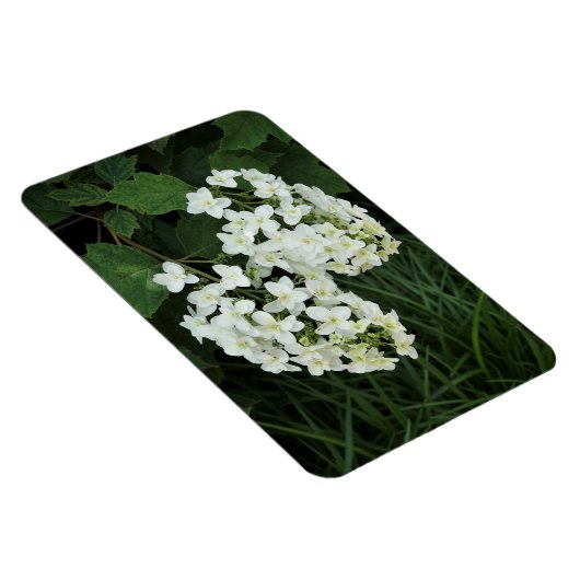 Magnet Flexible Hydrangée des feuilles d'avoine (Côté Droit)