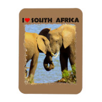 I Heart Afrique du Sud éléphants amoureux