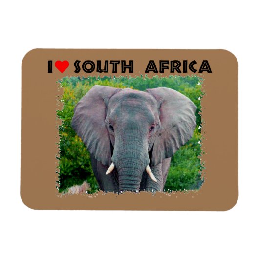 Magnet Flexible I Heart Afrique du Sud jeune éléphant taureau (Horizontal)