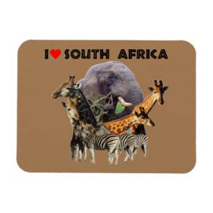 Magnet Flexible I Heart South Africa Wildlife Collage