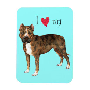 Magnet Flexible I Love my American Staffordshire Terrier